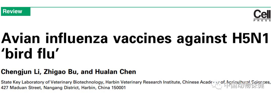 禽流感h5n1疫苗,中国最新禽流感疫苗
