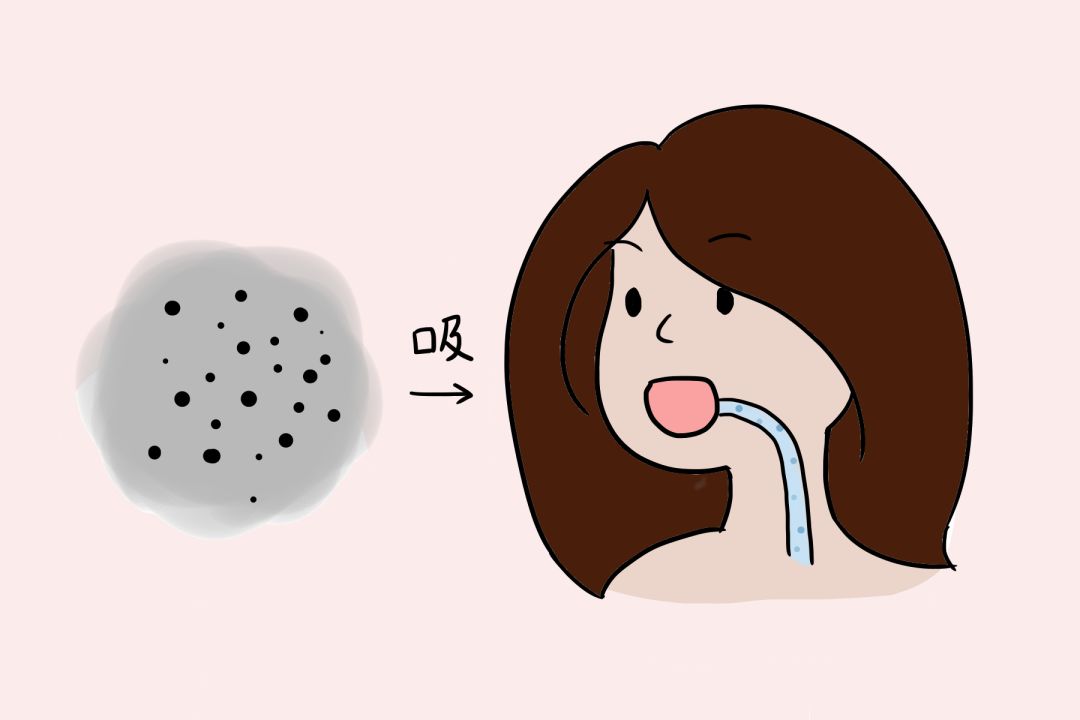 辟谣特工队,猫毛狗毛会被吸入肺吗