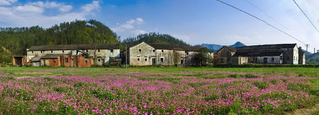 民生家政培训学校,民生职业技能培训