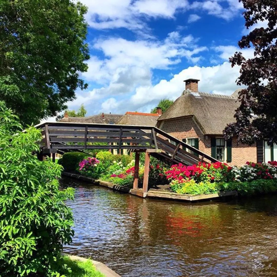 女神节花海一日游,女神节桃源一日游活动