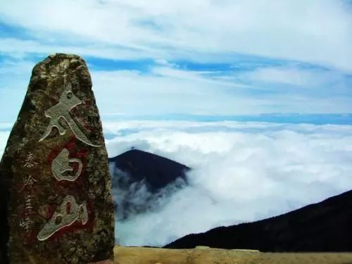 旅游微刊|西安的春天是粉色的！