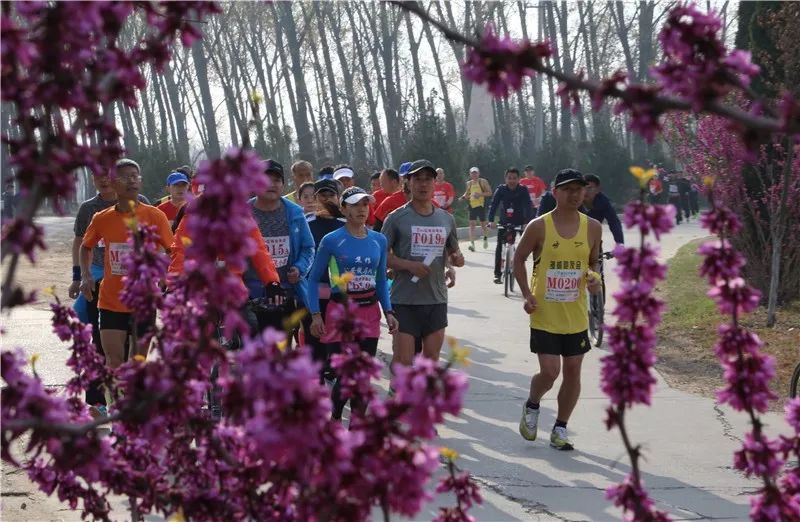 黄河故道徒步穿越,黄河故道湿地花海