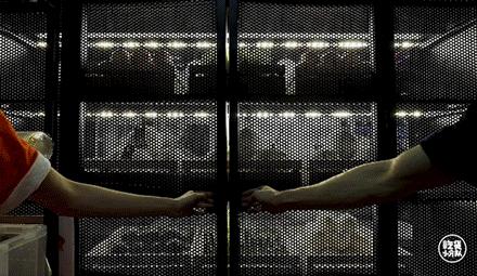 戏精欠揍系列,戏精反被骗