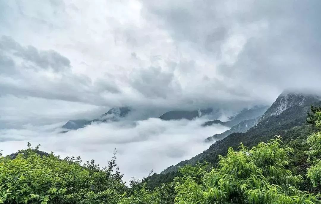 濮阳到洛阳跟团游三天两夜双人团,濮阳出发跟团游2天1晚