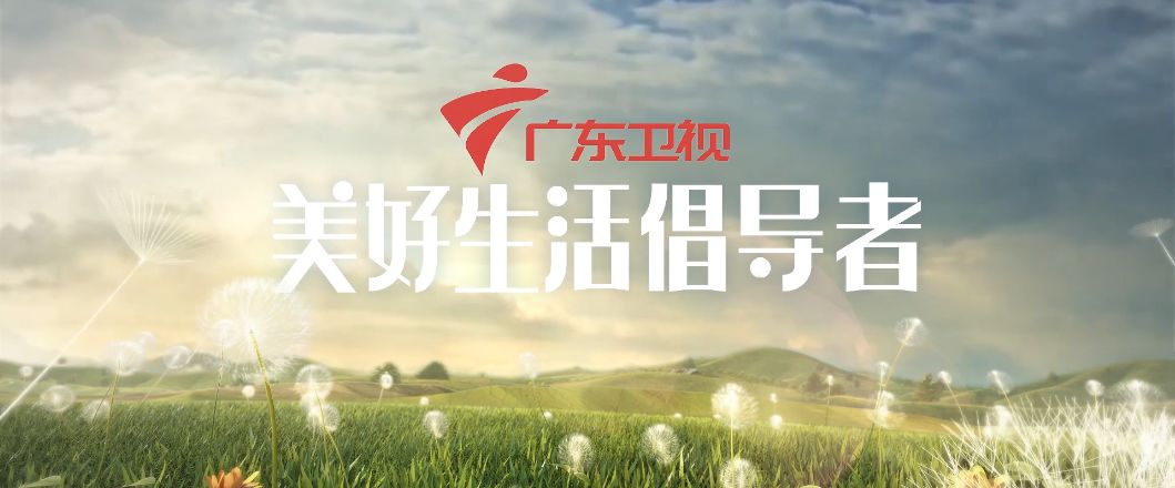 罗大佑流淌的歌声恋曲1990,流淌的歌声罗大佑这一期的视频