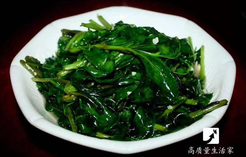 春天里要吃的四大黄金野菜,春天不可辜负的六种野菜