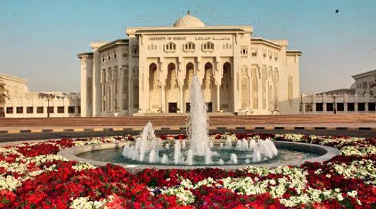 迪拜商务考察团,阿拉伯代表团