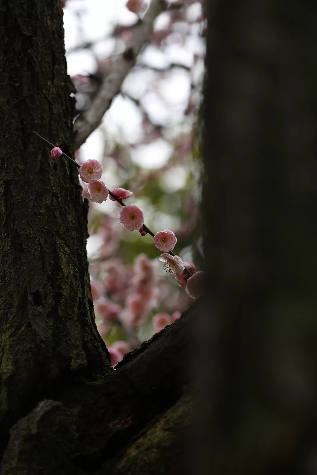 腾讯、联通、新东方都准备来华师“抢人”，本周就业讲座通知汇总，赶紧安排一下！