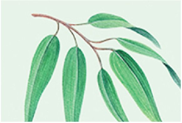 苏菲娜防晒霜控油,日本苏菲娜防晒测评