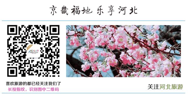 如果不打开这篇文章，你永远不会知道沧州居然可以这么好玩|漫游冀（12）