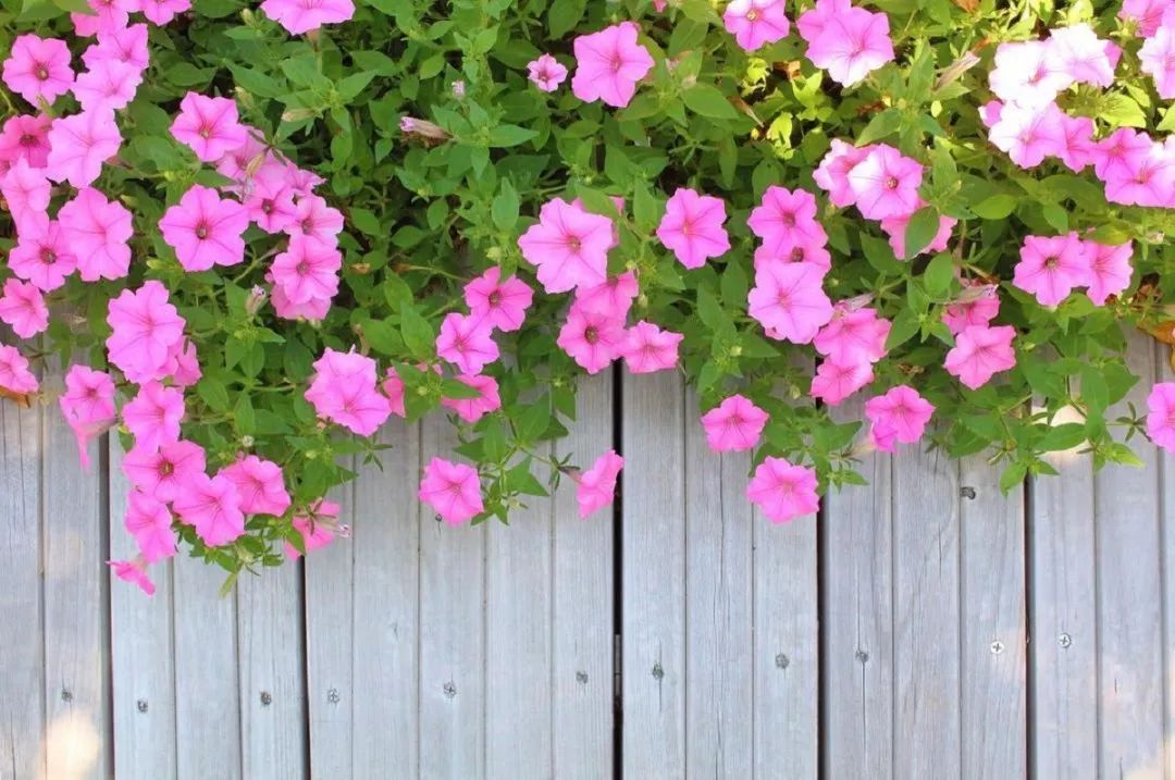 3种方法来辨别真假朋友,三个方面判断骗局