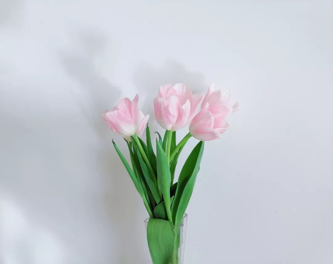 人人都是摄影师,人人都是摄影师首届全球拍照大赛