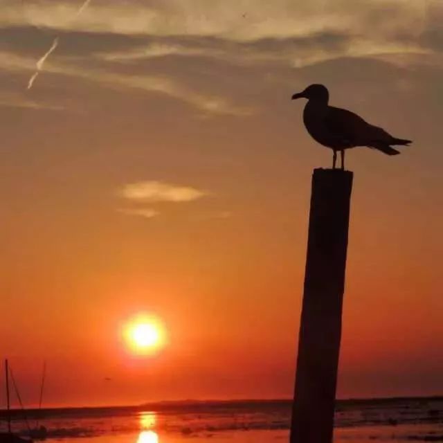 瓷器买哪的好价格便宜,一百元能买到什么瓷器