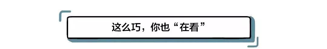 神秘的「阿里星」是怎样一群年轻人?