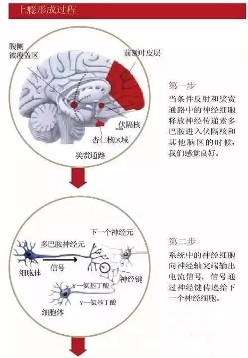 漫谈漫说,漫说禁毒漫画