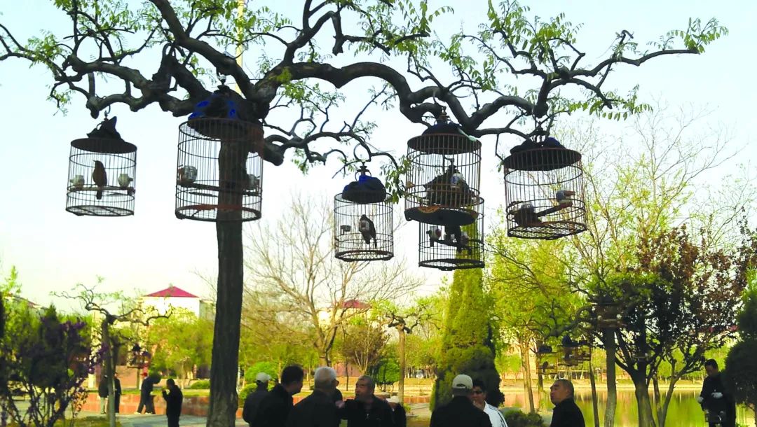 鍗楃楦熺鏂囧寲,楦熺鏂囧寲鐮旂┒