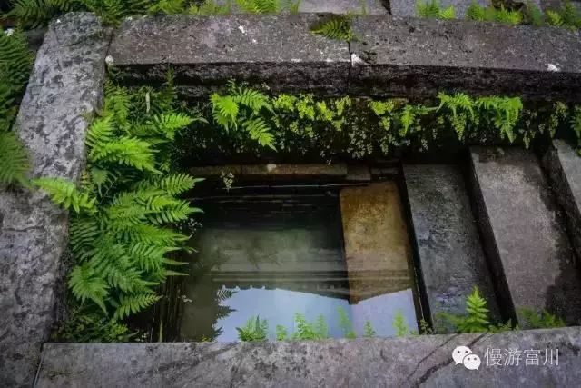 徽派古村梯田花海,徽派建筑油菜花田