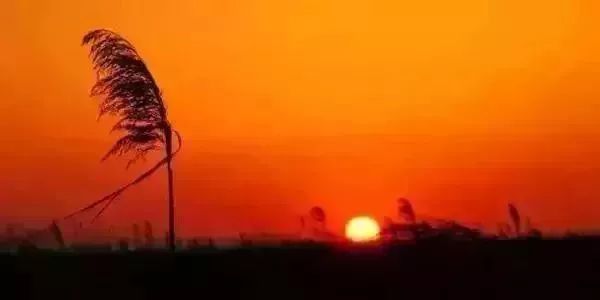 上海免费景点排行榜前十名,上海闵行区免费景点大全