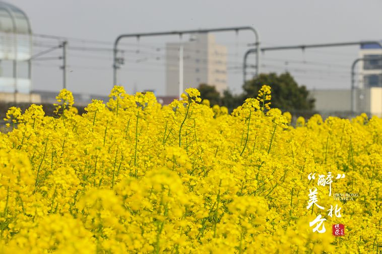 北仑清明游玩,下周北仑旅游景点