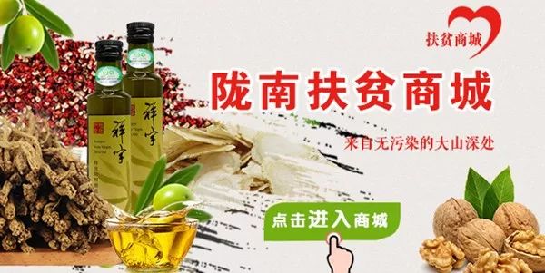 陇南礼县走出电商扶贫样板路,礼县猪油饼的电商之旅