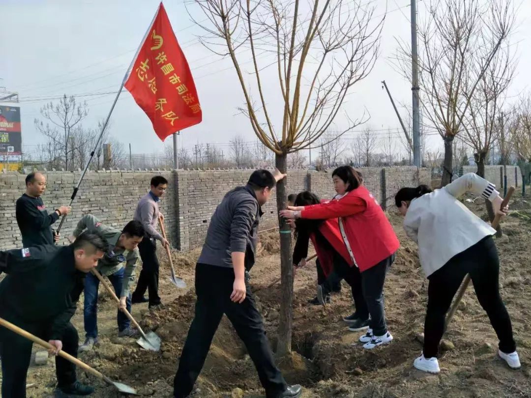 阳春三月暖植树绿化正当时,阳春三月草长莺飞栽几株树