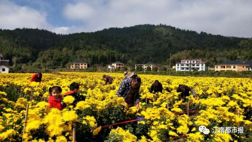 今天上市公司名单,今晚上市公司利好消息