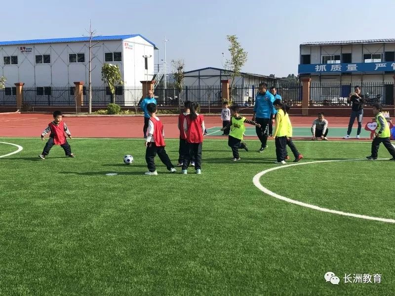 红领巾小健将活动感受,红领巾小健将