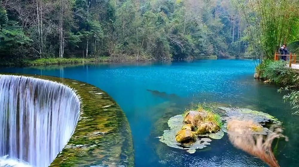 沈阳到张家界旅游专列价格,旅游专列沈阳出发5月14日价格