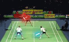 羽毛球是用什么毛来做的,羽毛球一般是什么羽毛做的