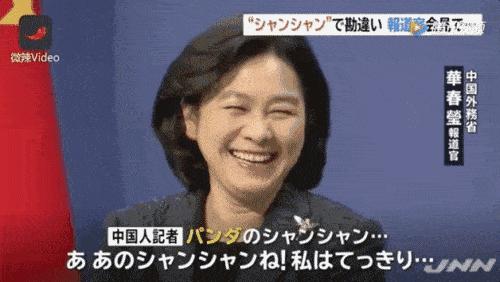 女外交官华春莹怒怼美国,华春莹外交霸气回应