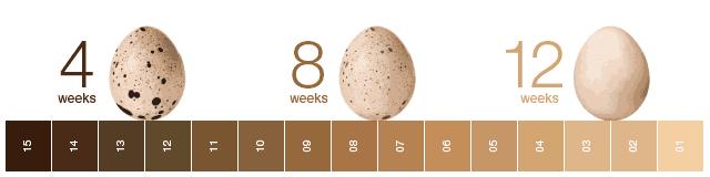 5个祛斑小妙招淡化晒斑雀斑痘印,晒斑痘印怎么消除的最快方法