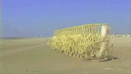 海边，他养了一群吃风的怪兽