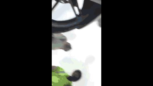 邮政网点代办交管业务,邮政交管业务便民服务点