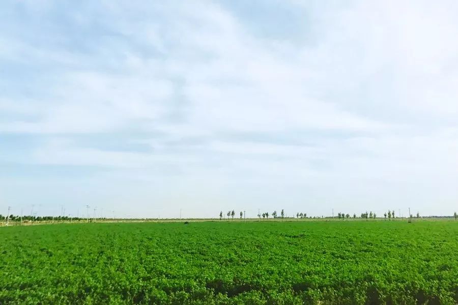 为了孩子能喝上新鲜的奶,让孩子喝上放心的牛奶就那么难吗