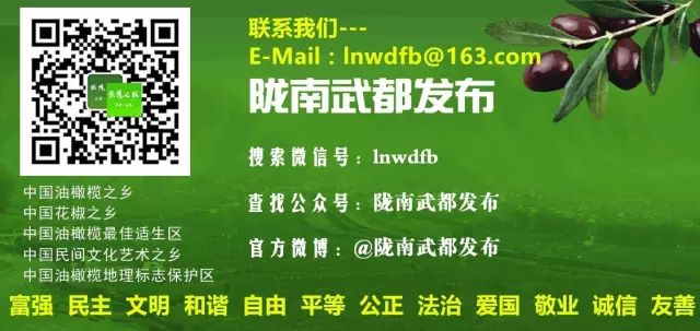 云巅金马池，诗意的远方