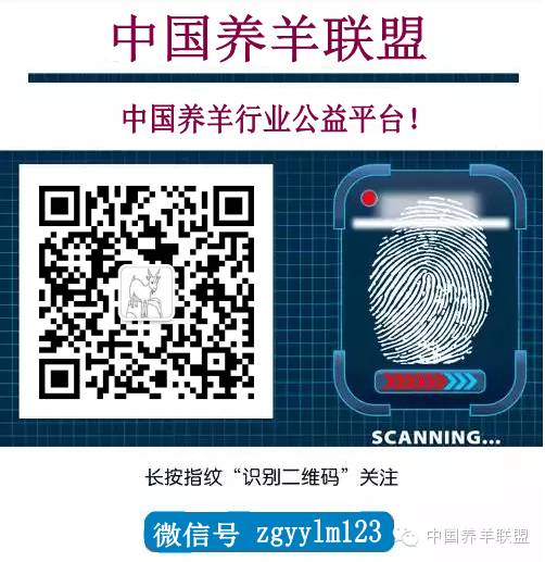 未来养殖十大前景行业分析,养殖行业最有前景的前五名