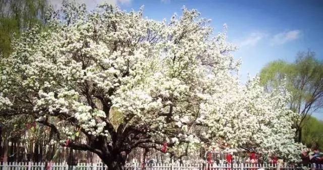 哈尔滨哪里有五人制足球场,哈尔滨足球场