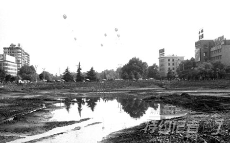 特约记者行最新视频,特约记者行俯瞰荆州醉美油菜花海