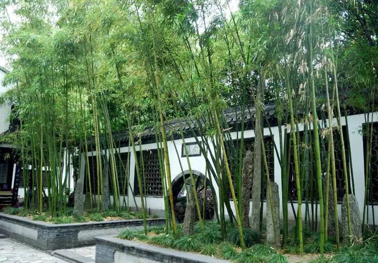 古今地方对比,古今最落寞的城市