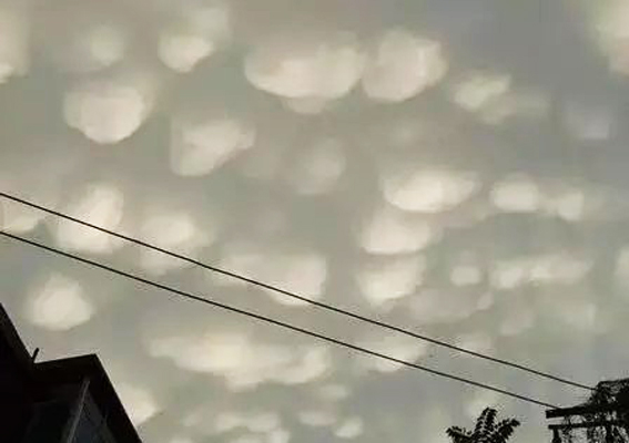 看看这些奇形怪状的云，你知道它们预示着什么气象吗