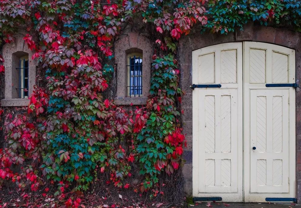 15句惊艳的海子爱情诗，读给恋人听|赠书