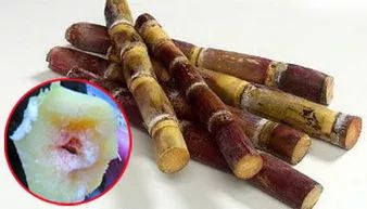 南充有什么特色好吃的可以带走的,南充有什么好吃的特产