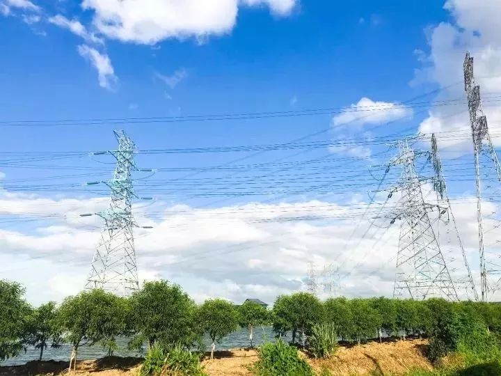 广州适合春游的免费景点,春游广州最适合去的地方