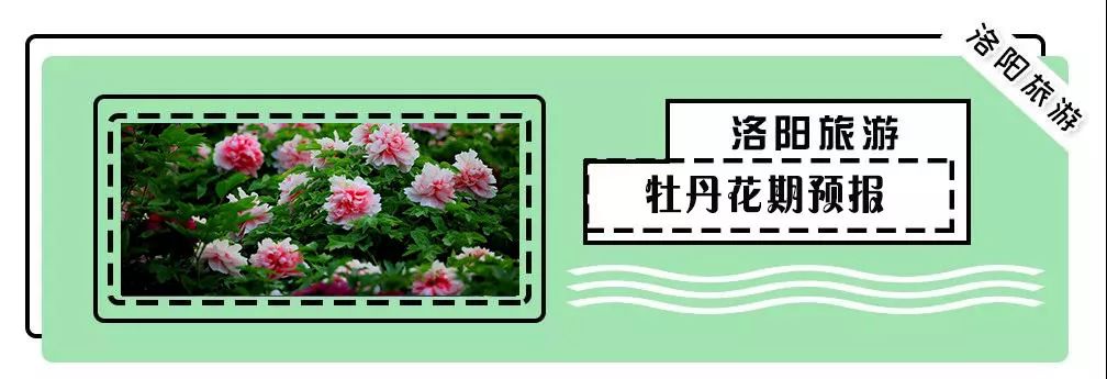 洛阳两条公交线路将调整,洛阳93路公交车最新消息