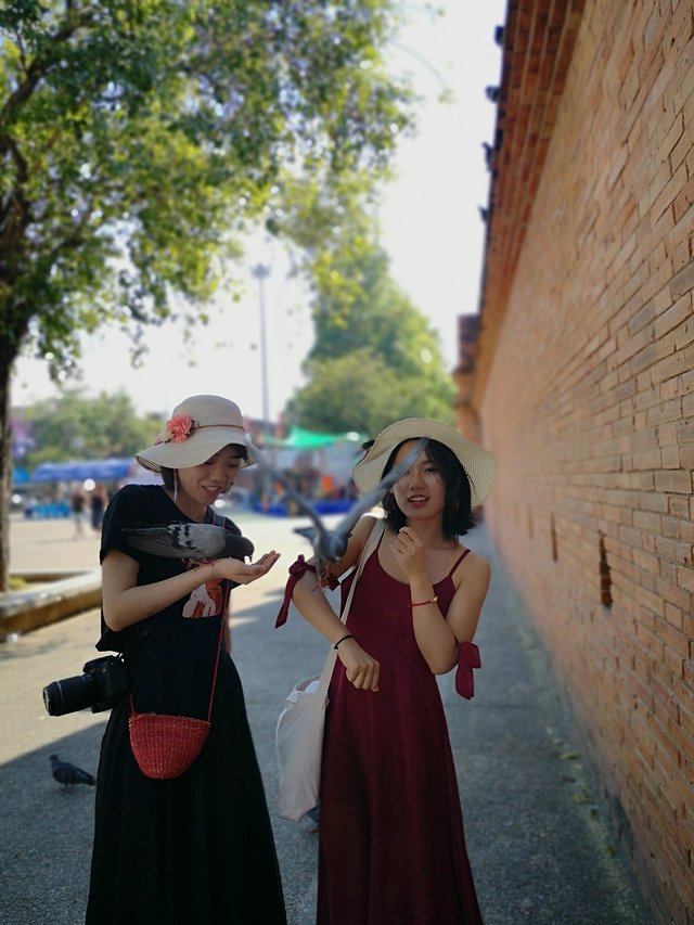 曼谷普吉岛7日自由行攻略,泰国曼谷清迈详细旅游攻略