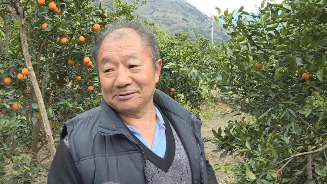 乡村振兴果园经济,乡村振兴的销路