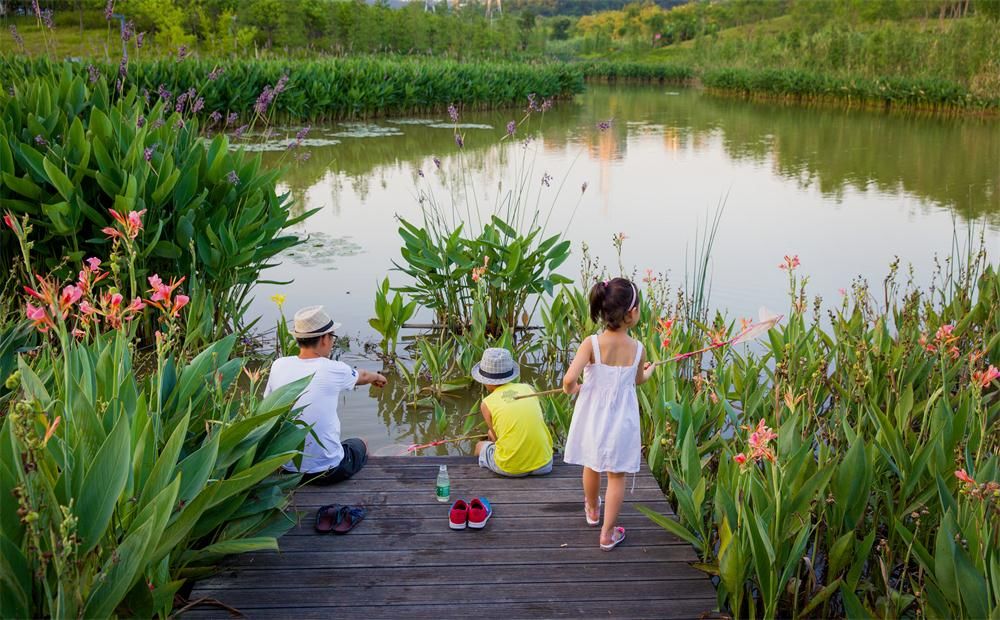 广州天河的绿道,天河绿道