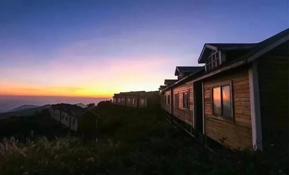 集装箱式民宿推荐,福建特色树屋民宿度假屋结构