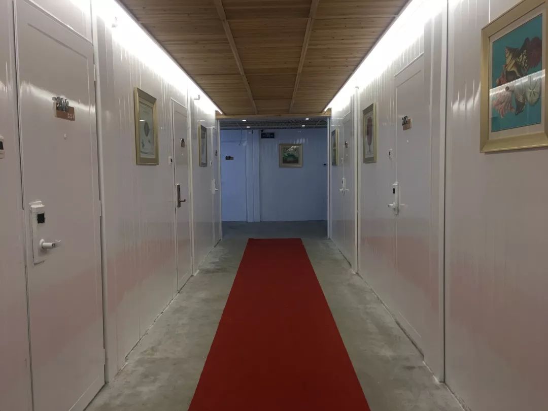 福建树屋酒店推荐,福建特色树屋民宿度假屋特点