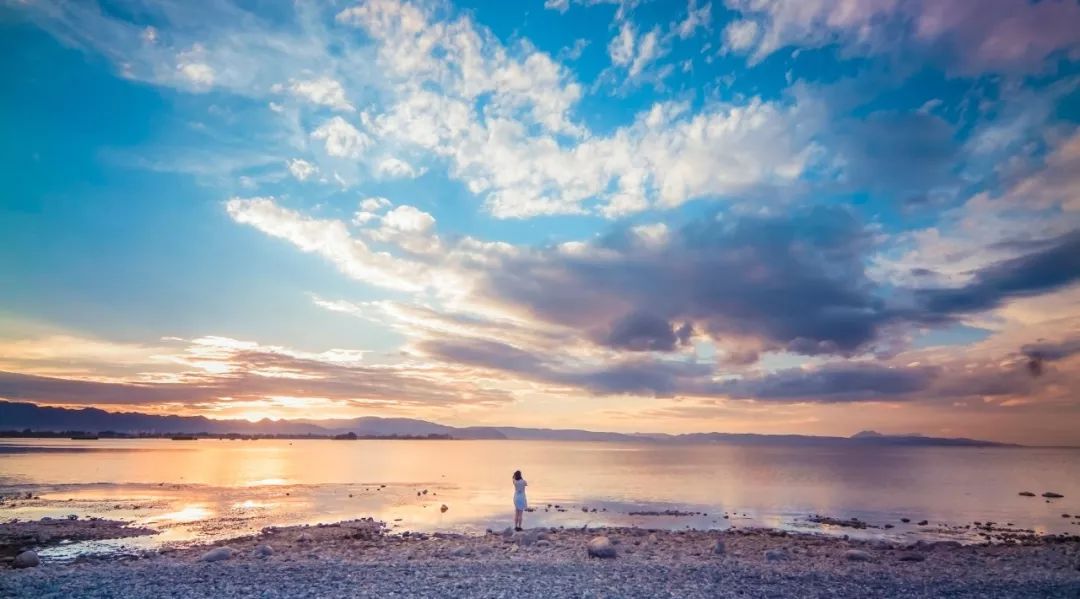 重庆免费退机票,特价机票能退吗退了会扣多少钱
